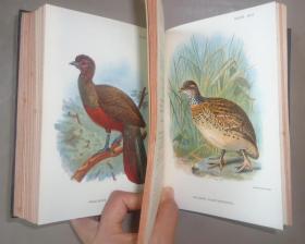 【补图】1896年 Hand-Book of British Birds. 自然史经典《图本猎鸟手册》3/4小牛皮精装 48张绝美珂罗版手工彩色版画 品相绝佳