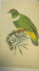 1889年 Manual of British Birds 博物学经典《绘图本英国鸟类手册》珍贵初版本 全插图本巨册全 布面精装