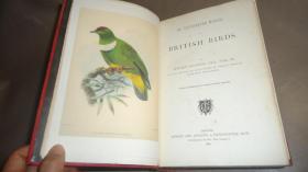 1889年 Manual of British Birds 博物学经典《绘图本英国鸟类手册》珍贵初版本 全插图本巨册全 布面精装