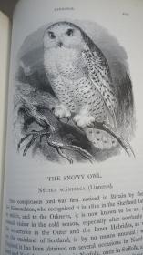 1889年 Manual of British Birds 博物学经典《绘图本英国鸟类手册》珍贵初版本 全插图本巨册全 布面精装