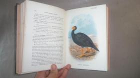 【补图】1896年 Hand-Book of British Birds. 自然史经典《图本猎鸟手册》3/4小牛皮精装 48张绝美珂罗版手工彩色版画 品相绝佳