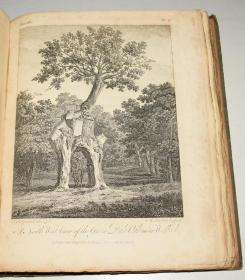 1812年 John Evelyn: Silva - Discourse Of Forest-Trees 约翰·伊夫林自然经典《森林志》(又名《林木论》) 全插图本