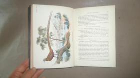 【补图】1896年 Hand-Book of British Birds. 自然史经典《图本猎鸟手册》3/4小牛皮精装 48张绝美珂罗版手工彩色版画 品相绝佳