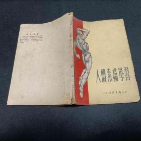 人体素描学习