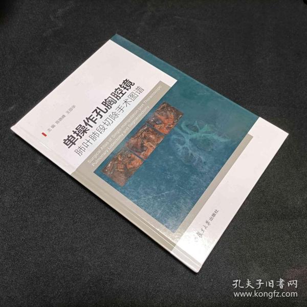 单操作孔胸腔镜肺叶肺段切除手术图谱