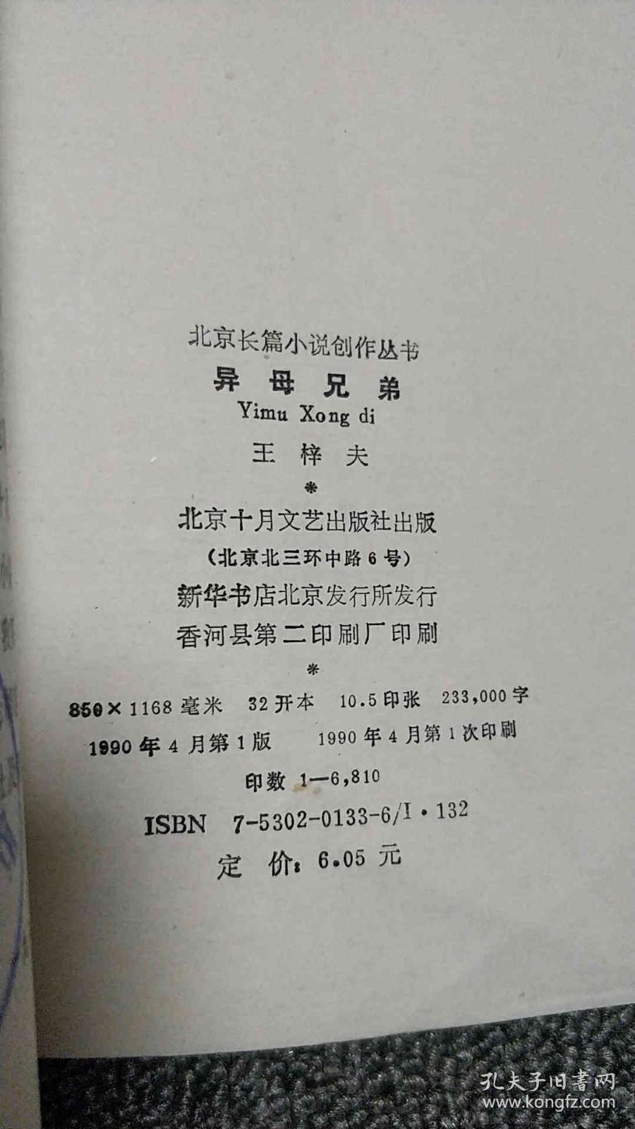 北京长篇小说创作丛书-异母兄弟