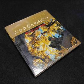 寻访北京的古迹：古树雄石宝水
