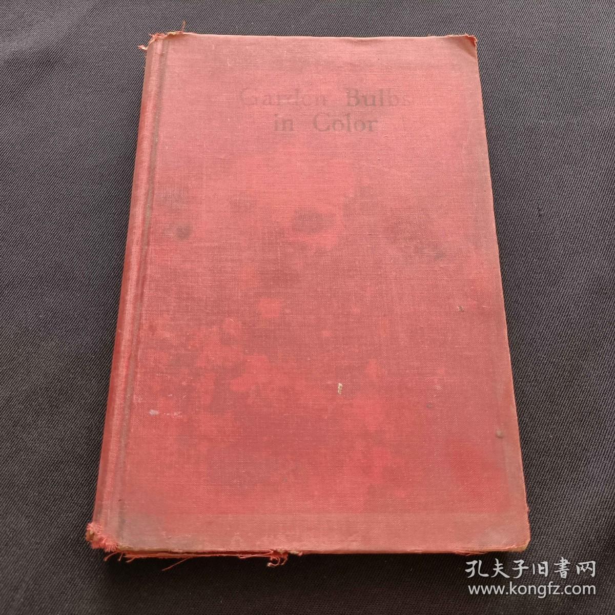 garden bulbs in color