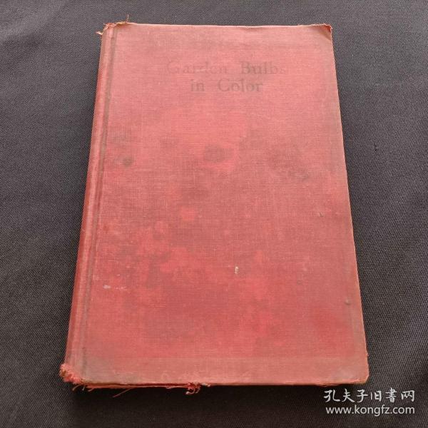 garden bulbs in color