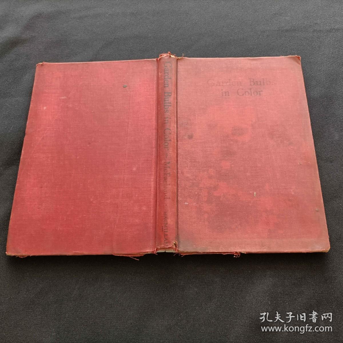 garden bulbs in color