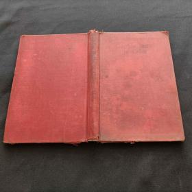 garden bulbs in color