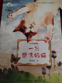 中国儿童大视野丛书--一只想飞的猫（全彩插图版）