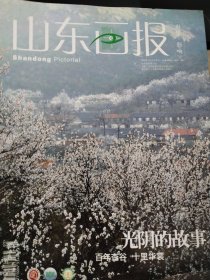 山东画报（2014年第5期）