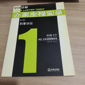 刑事诉讼——中国律师办案全程实录