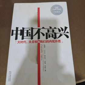 中国不高兴：大时代大目标及我们的内忧外患 9787214056061