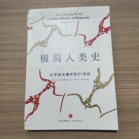 极简人类史：从宇宙大爆炸到21世纪