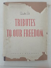 tributes to our freedom(对我们自由的贡献)精装超大开画册