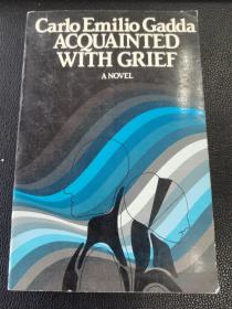 acquainted with grief