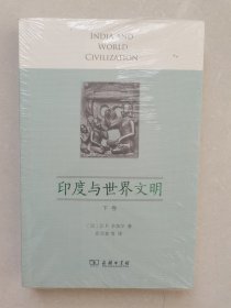 印度与世界文明（下卷）