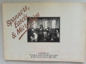 spannees easels & miceochips精装画册