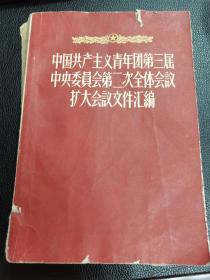 中国共产主义青年团第三届中央委员会第二次全体会议扩大会议文件汇编