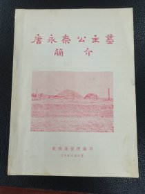 唐永泰公主墓简介（全国第一批重点文物保护单位之一）