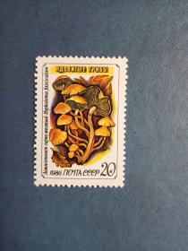 外国邮票   苏联邮票 1986年 蘑菇（无邮戳新票）
