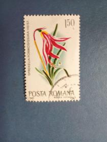 外国邮票   罗马尼亚邮票   花卉 （盖销票 ）