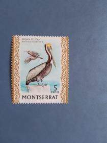 外国邮票 蒙特塞拉特邮票 1974年 鸟（无邮戳新票)