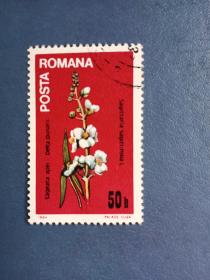 外国邮票   罗马尼亚邮票 1984年   花卉（信销票 ）