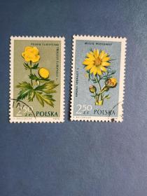外国邮票   波兰邮票  1962年 受保护花卉 2枚 （信销票 ）