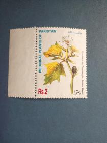 外国邮票 巴基斯坦邮票  1998年 蔓陀罗花 1全（无邮戳新票)