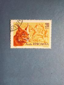 外国邮票  罗马尼亚邮票 1961年. 猫科动物（盖销票 ）