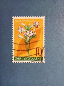 外国邮票   南斯拉夫邮票  植物花卉（信销邮票）