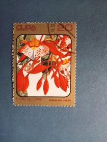外国邮票   古巴邮票 1984年 花卉（信销票)