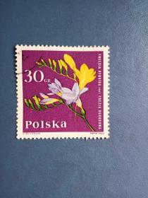 外国邮票   波兰邮票  1964年  花卉  （信销票 ）