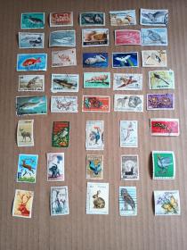 外国邮票 世界各国 动物邮票 100不同 （信销票、不适合收藏，只适合手帐 ）