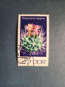 外国邮票 民主德国邮票 1974年 仙人掌（信销票)