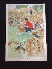 70年代年画宣传画-----鸭肥蛋大（二开尺寸）
