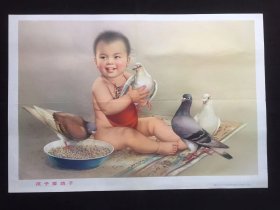 80年代年画宣传画------孩子爱鸽子，金梅生绘（二开尺寸）