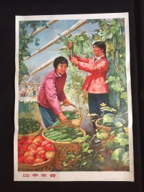 70年代年画宣传画-----四季常春（二开尺寸）