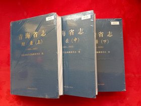 青海省志·附录1986-2005（上中下）未开封