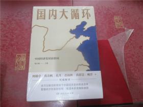 国内大循环(何毅亭、黄奇帆、孔丹、迟福林、姚洋、黄群慧等撰文)