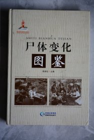 尸体变化图鉴