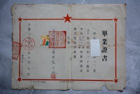 1955年四川省丰都县中学毕业证书【长36宽27厘米】