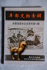 丰都文物专辑