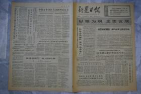 新疆日报1973年4月17