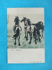 群马  徐悲鸿 作  1950年代人民美术出版社（明信片）