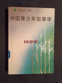 《中国青少年犯罪学》（DS）