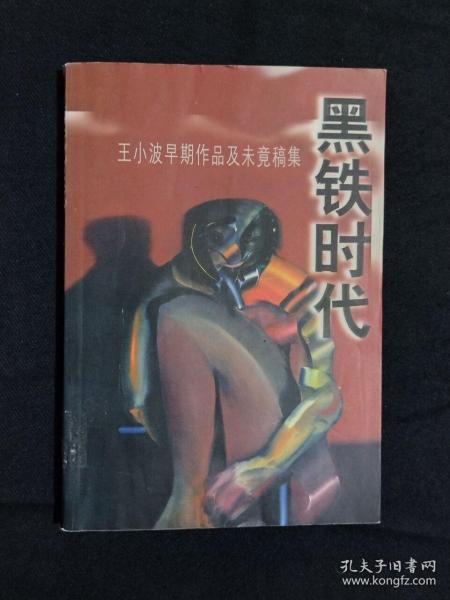 黑铁时代：王小波早期作品及未竟稿集